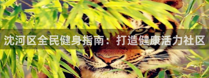 尊龙人生就是傅官网：沈河区全民健身指南：打造健康活力社区