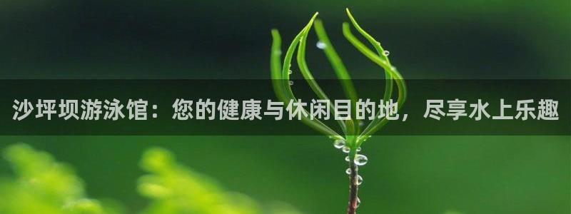 凯时kb88官方：沙坪坝游泳馆：您的健康与休闲目的地，尽