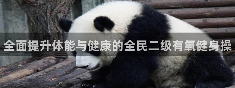 尊龙凯时为什么输了钱：全面提升体能与健康的全民二级有氧健