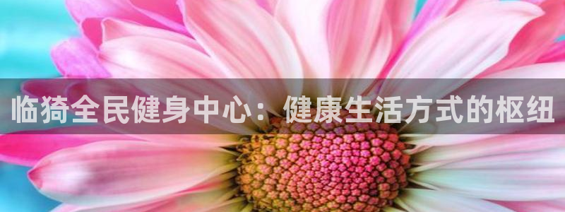 首页尊龙d88国际：临猗全民健身中心：健康生活方式的枢纽