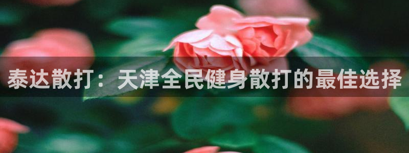 尊龙d88现金 旧版本可靠送38元：泰达散打：天津全民健
