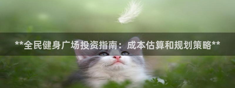 尊龙凯时平台正规吗：**全民健身广场投资指南：成本估算和