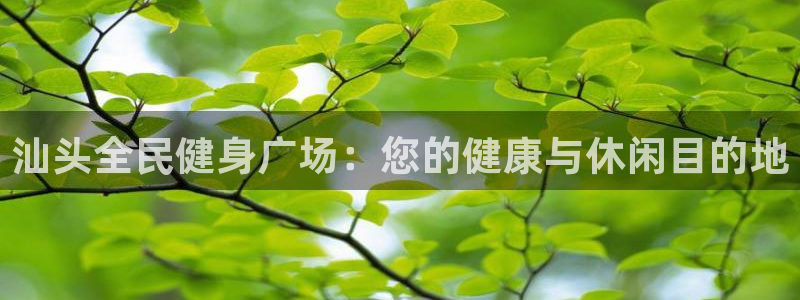 尊龙凯时人生就是搏!平台：汕头全民健身广场：您的健康与休