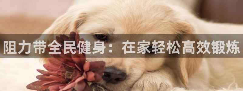 尊龙凯时官网正规吗：阻力带全民健身：在家轻松高效锻炼