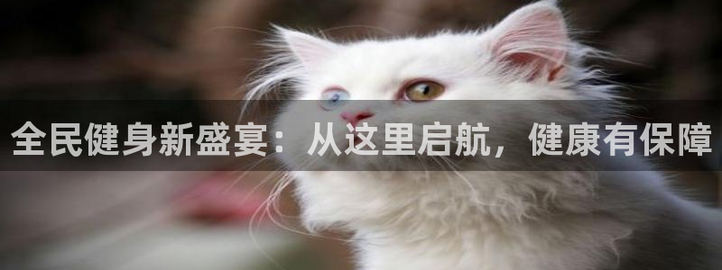 尊龙手机官方客户端下载安卓：全民健身新盛宴：从这里启航，