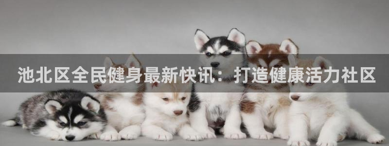 尊龙凯时网娱乐最新版： 池北区全民健身最新快讯：打造健康