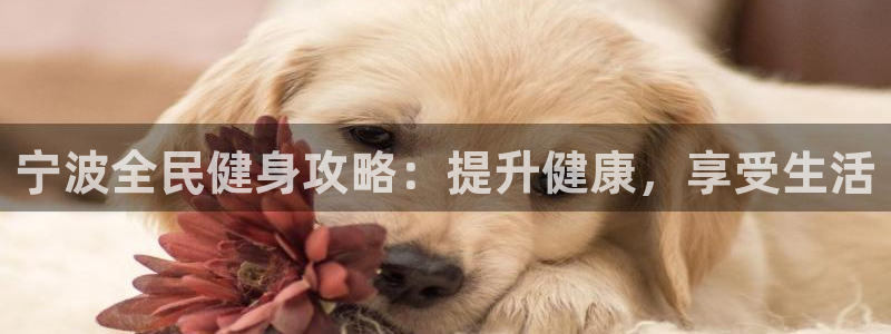 尊龙 中国：宁波全民健身攻略：提升健康，享受生活