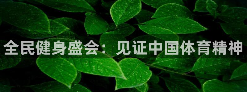 尊龙集团有限公司官网地址：全民健身盛会：见证中国体育精神