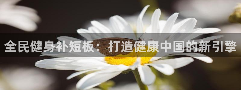 凯时kb88官方：全民健身补短板：打造健康中国的新引擎