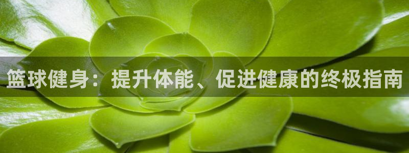 ag尊龙凯时官网：篮球健身：提升体能、促进健康的终极指南