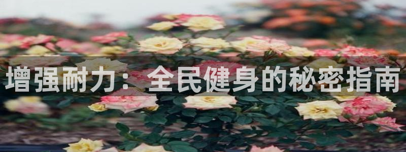 尊龙人生就是博ag旗舰厅：增强耐力：全民健身的秘密指南