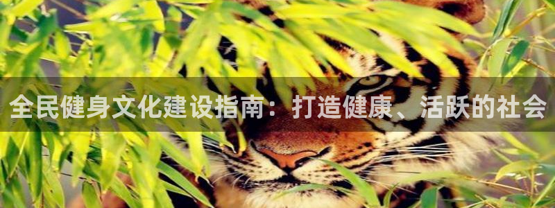 首页尊龙d88国际：全民健身文化建设指南：打造健康、活跃