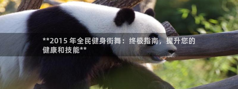尊龙凯时干什么的：**2015 年全民健身街舞：终极指南