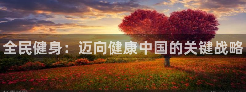 下载尊龙：全民健身：迈向健康中国的关键战略