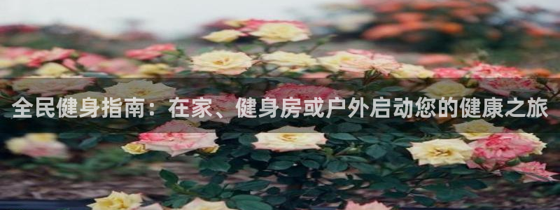 尊龙凯时产品种类：全民健身指南：在家、健身房或户外启动您