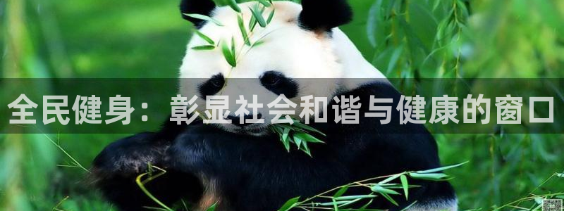 尊龙凯时输了100万：全民健身：彰显社会和谐与健康的窗口