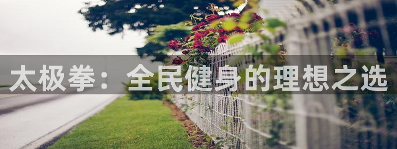 尊龙凯时取钱很慢：太极拳：全民健身的理想之选