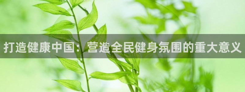 凯时在线平台官网：打造健康中国：营造全民健身氛围的重大意