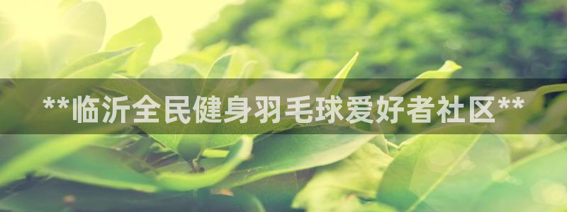 尊龙凯时网站怎么样：**临沂全民健身羽毛球爱好者社区**