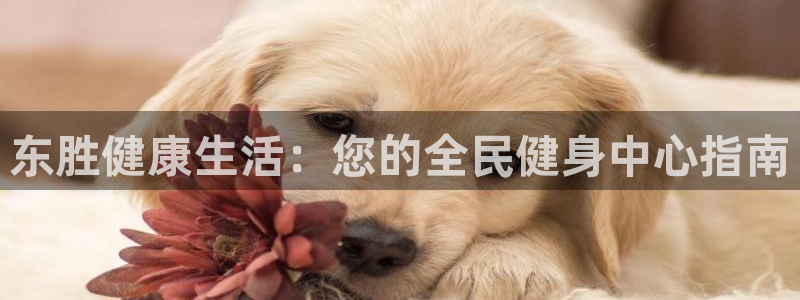有人在凯时赢过钱吗：东胜健康生活：您的全民健身中心指南