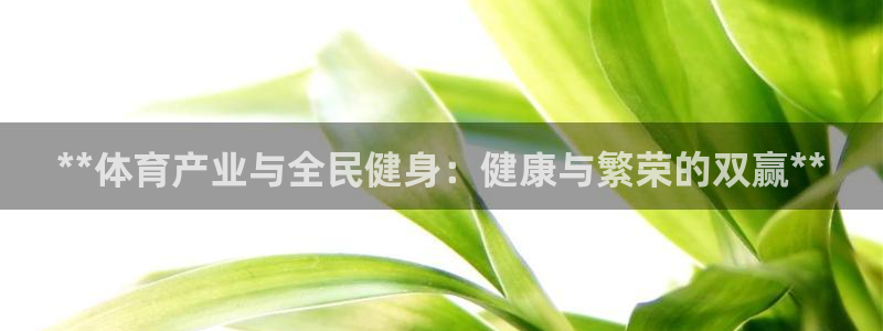 凯时a88：**体育产业与全民健身：健康与繁荣的双赢**