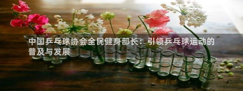 尊龙人生手机版：中国乒乓球协会全民健身部长：引领乒乓球运