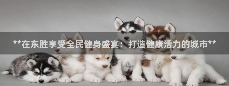 尊龙贴吧：**在东胜享受全民健身盛宴：打造健康活力的城市