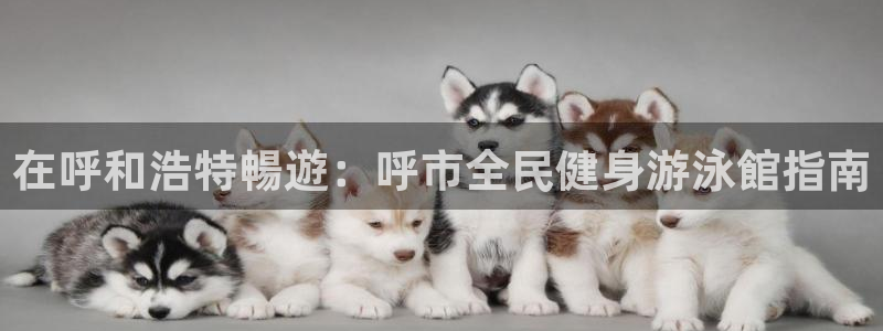 尊龙凯时-人生就是博中国官网：在呼和浩特暢遊：呼市全民健