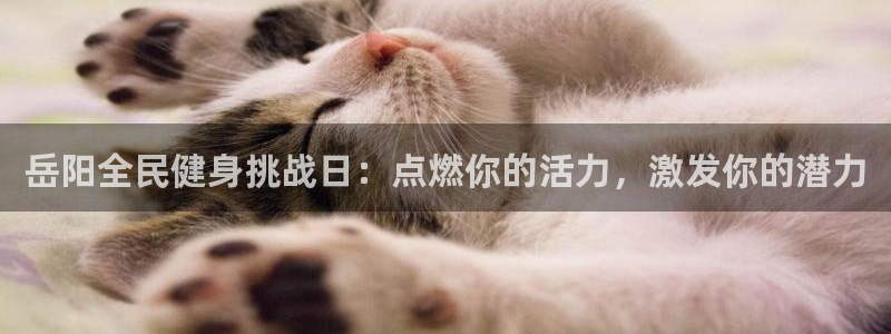 尊龙官网网站：岳阳全民健身挑战日：点燃你的活力，激发你的