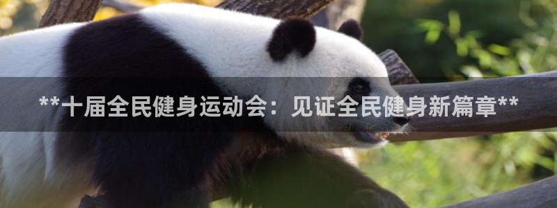 尊龙凯时vip：**十届全民健身运动会：见证全民健身新篇