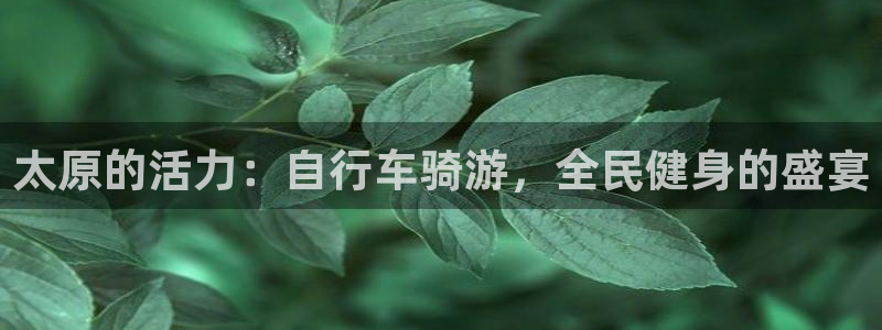 尊龙凯时有封银行卡的吗：太原的活力：自行车骑游，全民健身