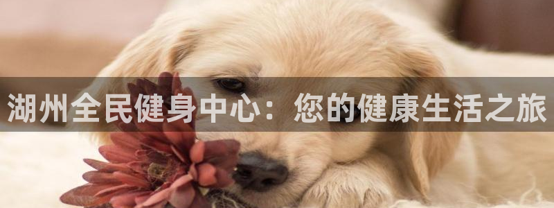 尊龙官方网站最新版V9.3.06：湖州全民健身中心：您的
