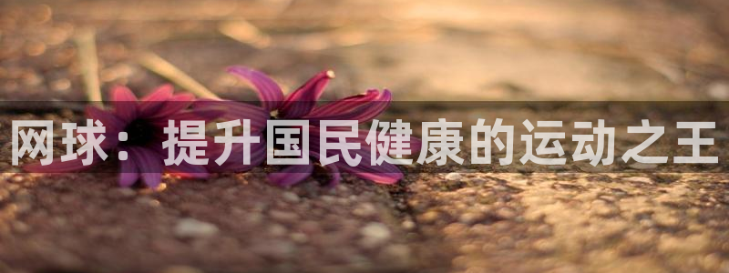 尊龙AG发财网：网球：提升国民健康的运动之王