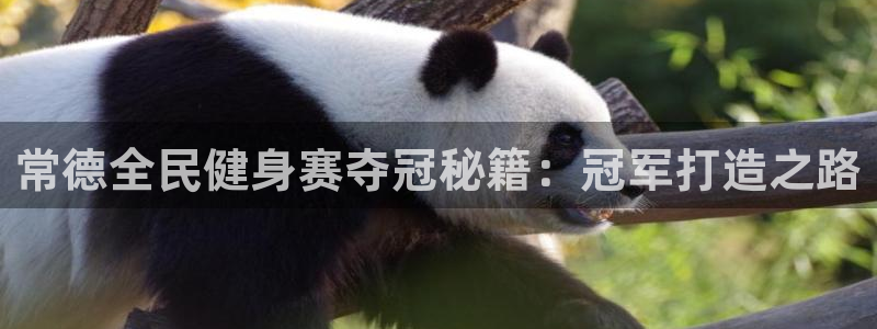 尊龙凯时推荐人：常德全民健身赛夺冠秘籍：冠军打造之路