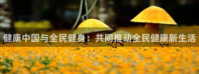 尊龙官网手