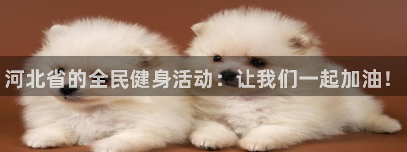 尊龙凯时人生就是博·(中国)官网首页