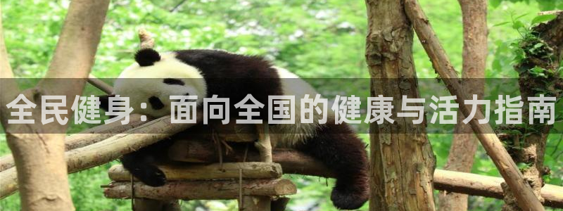 尊龙怎么没消息了：全民健身：面向全国的健康与活力指南