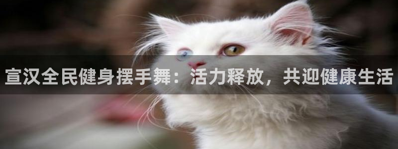 尊龙凯时家居是品牌吗