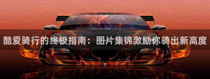 尊龙凯时 人生就是搏!：酷爱骑行的终极指南：图片集锦激励