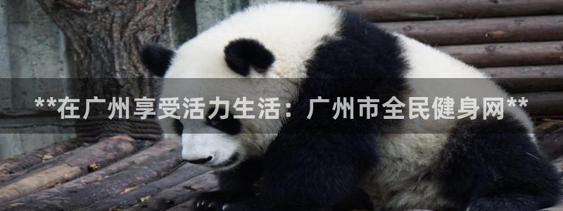 尊龙APP客户端平台：**在广州享受活力生活：广州市全民